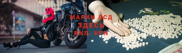 спиды Горнозаводск