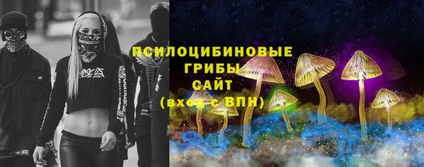 спиды Горнозаводск